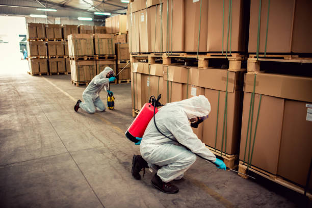 Best Mosquito Control Services  in St Paul, MO
