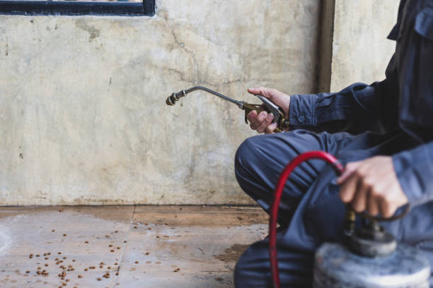 Reliable St Paul, MO Pest Control Solutions