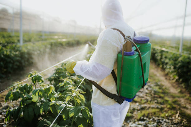 Best Termite Control Services  in St Paul, MO